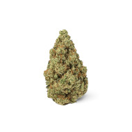 💥NEW ! AMNESIA 2.0💥 indoor Hydro