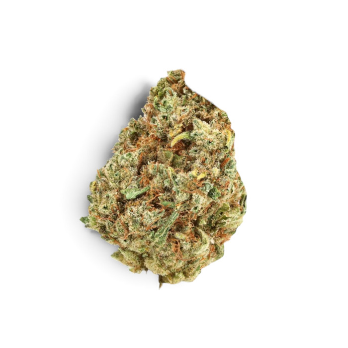 northern-ligh-indoor-hydro-gaia-cbd