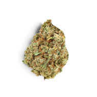 northern-ligh-indoor-hydro-gaia-cbd