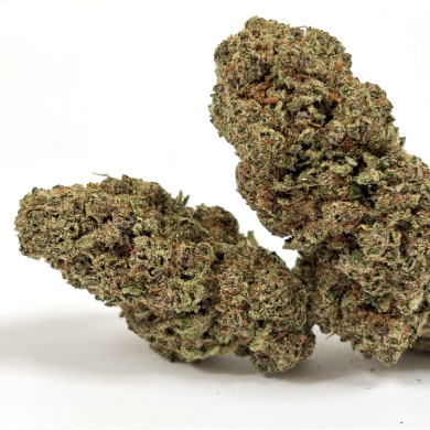 Gaïa CBD - fleur White Russian USA