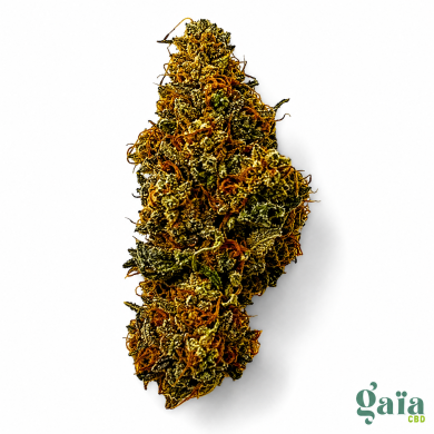 Fruit du démon I Gaia CBD Halluin Fleur cbd premium