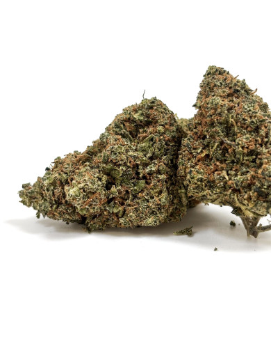 💥ORANGE BUD B30 ! Suisse Hydro - Puissante