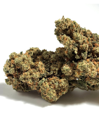 💥 AMNESIA B30 ! 💥  40% I Suisse Hydro