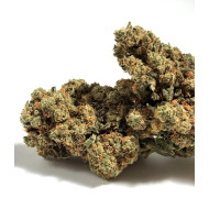 💥 AMNESIA B30 ! 💥  40% I Suisse Hydro