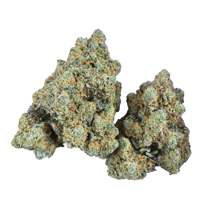 New Lemon Haze indoor Premium