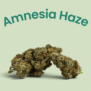 🔥New Amnesia Haze - CBD Indoor Premium