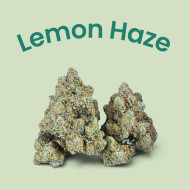 🔥New Amnesia Haze - CBD Indoor Premium