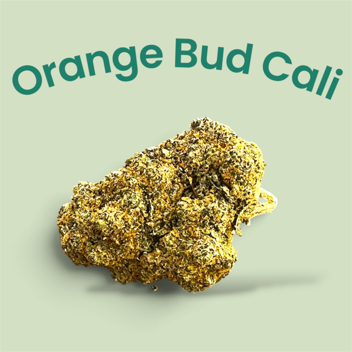 Orange Bud Cali Gaia CBD