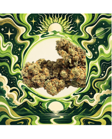 Amnesia B30 - 40%