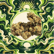 Amnesia B30 - 40%