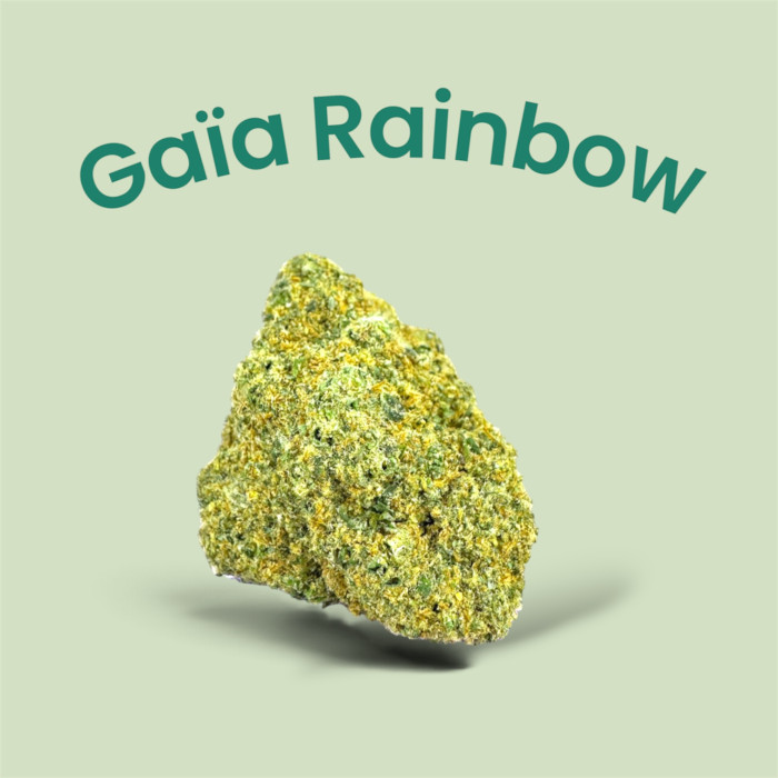 💥NEW ! Gaïa Rainbow ! Fleur CBD Indoor