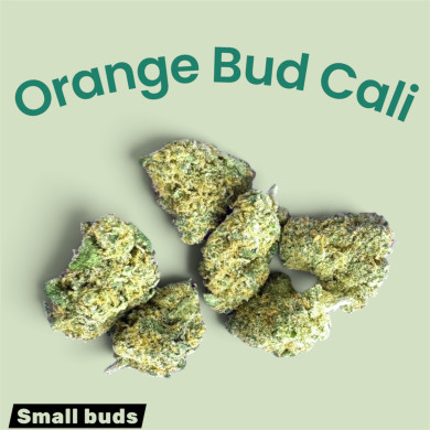 orange bud small buds gaia cbd