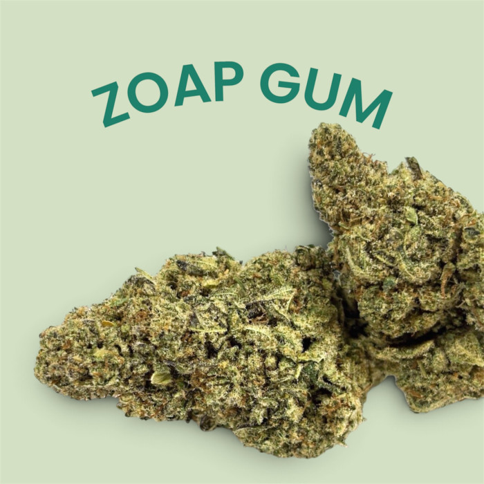 💥NEW ! ZOAP GUM - Fleur CBD HYDRO
