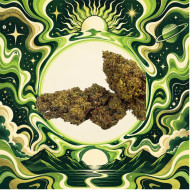 💥 Super Lemon Haze B30 ! 💥  I Suisse Hydro