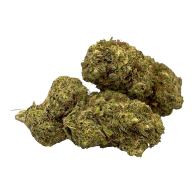 Jack Herer