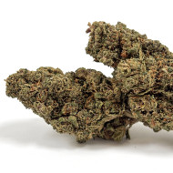 💥NEW I Golden Kush I Fleur CBD Hydro Premium++
