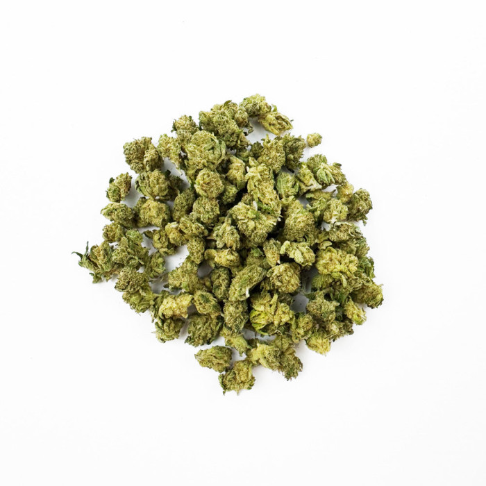 💥NEW I Gusher Small Buds I Hydro Suisse