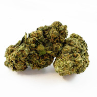 Golden-ba-gaia-cbd
