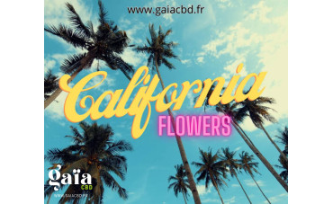 La puissance des Fleurs Californiennes ! La puissance des Fleurs Californiennes !