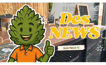 Arrivage & news... Arrivage & news...