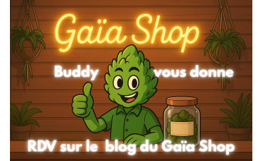 AMNESIA US...l'élégance Américaine, le savoir-faire Suisse. AMNESIA US...l'élégance Américaine, le savoir-faire Suisse.
