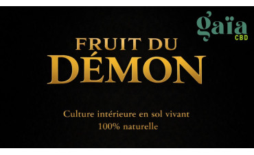 Fruit du Démon... L'excellence à la Française